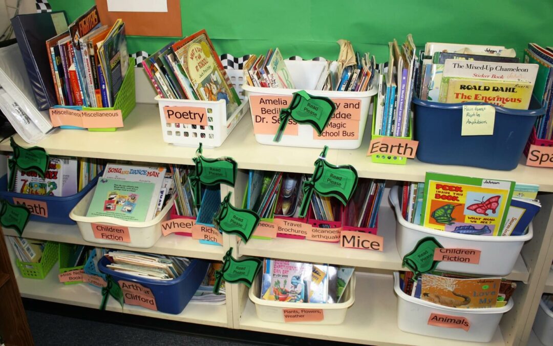 Organize Your Classroom Library
