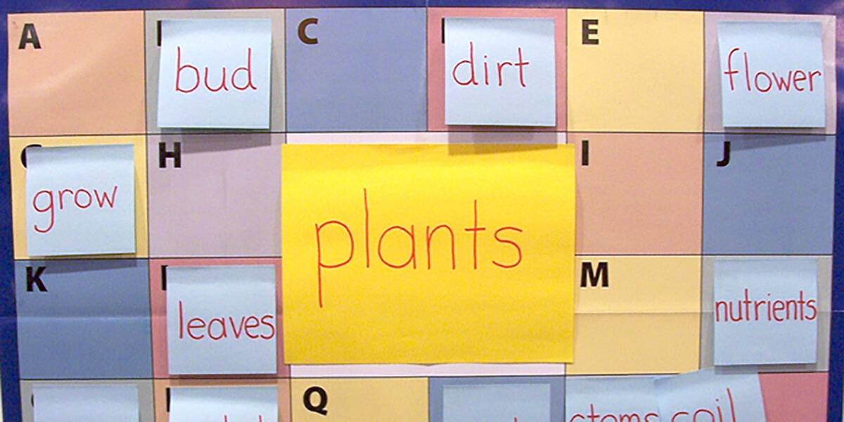 Maximize the ABC Chart for Writing - Plants