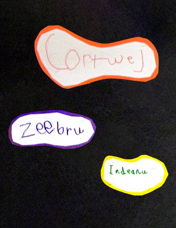 Grade 1 Spelling Bulletin Board: Cartwheel, Zebra, Indiana