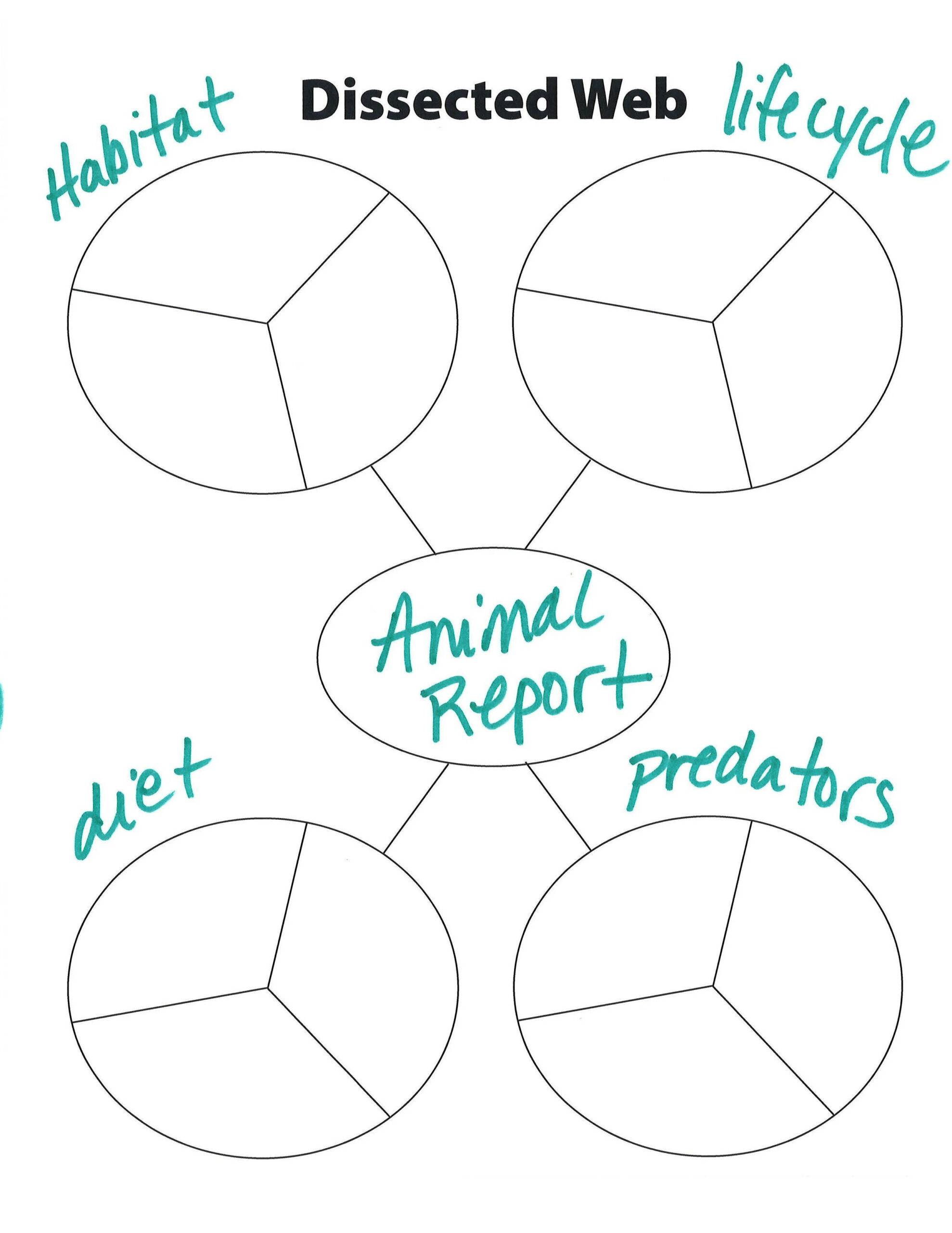 Dissected Web Animal Report Categories