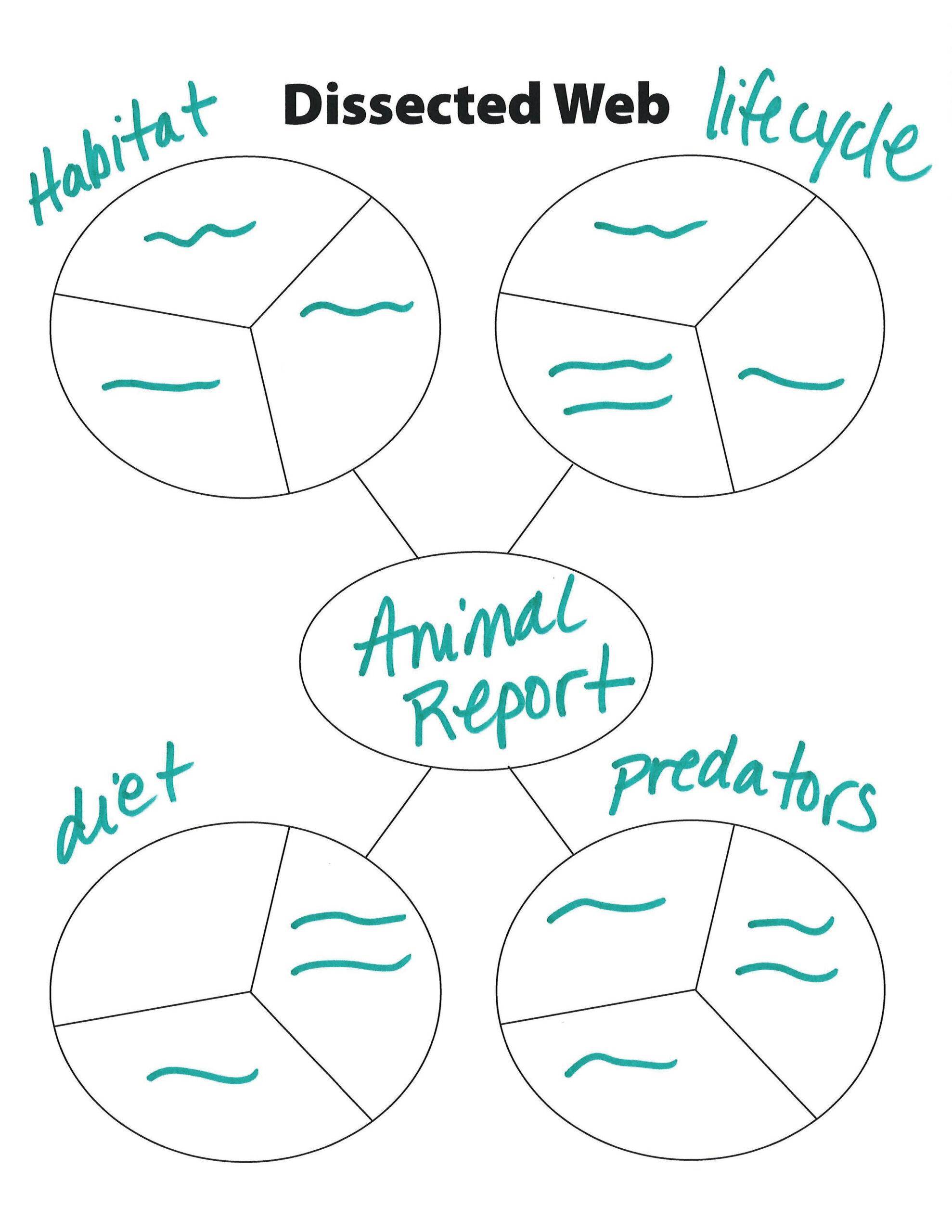 Dissected Web Animal Report Notes