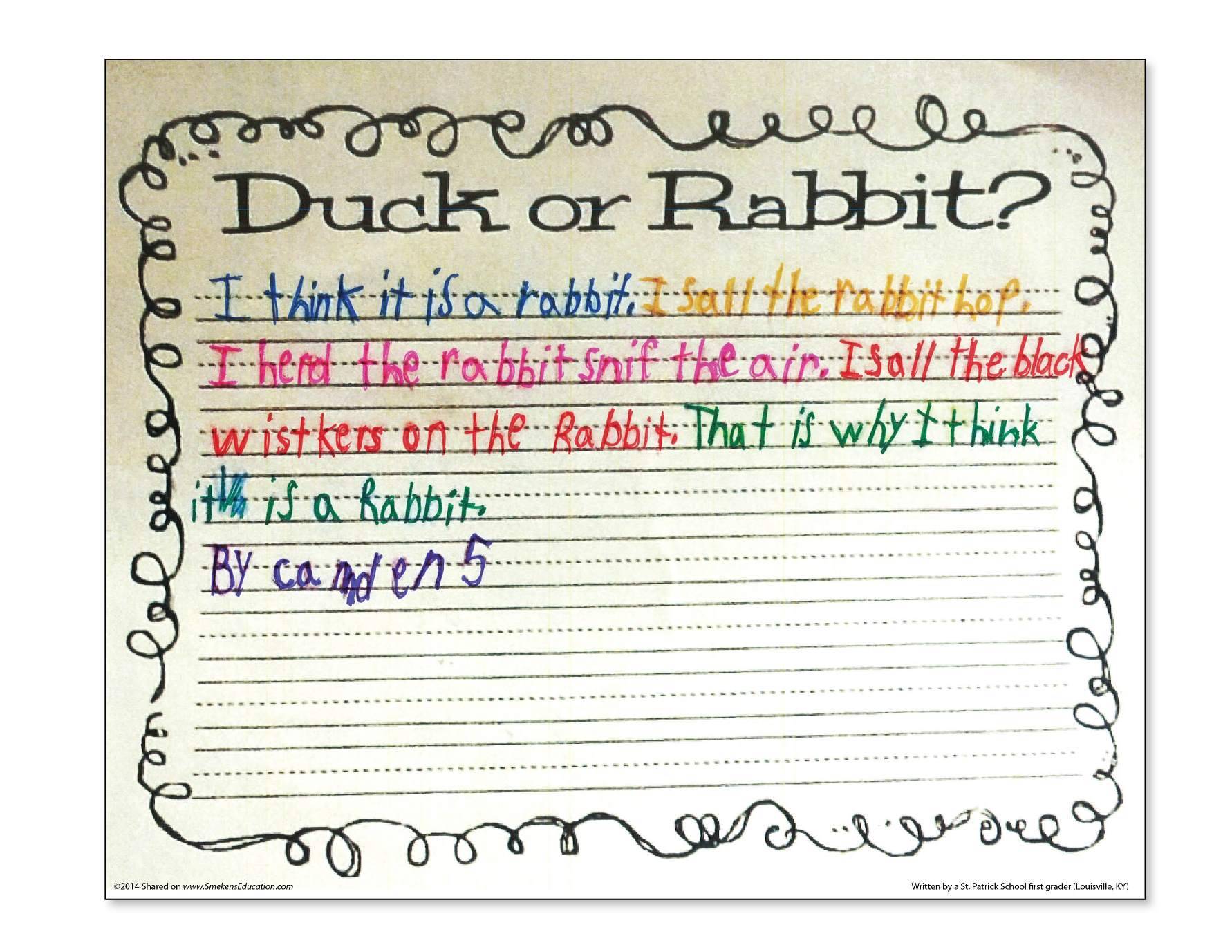 Duck! Rabbit! - Opinion Student Sample