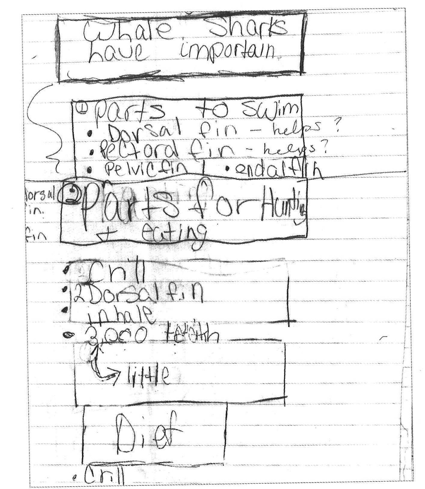 Taking Notes Examples - Boxes & Bullets WHALES Taking Notes Examples - Boxes & Bullets WHALES