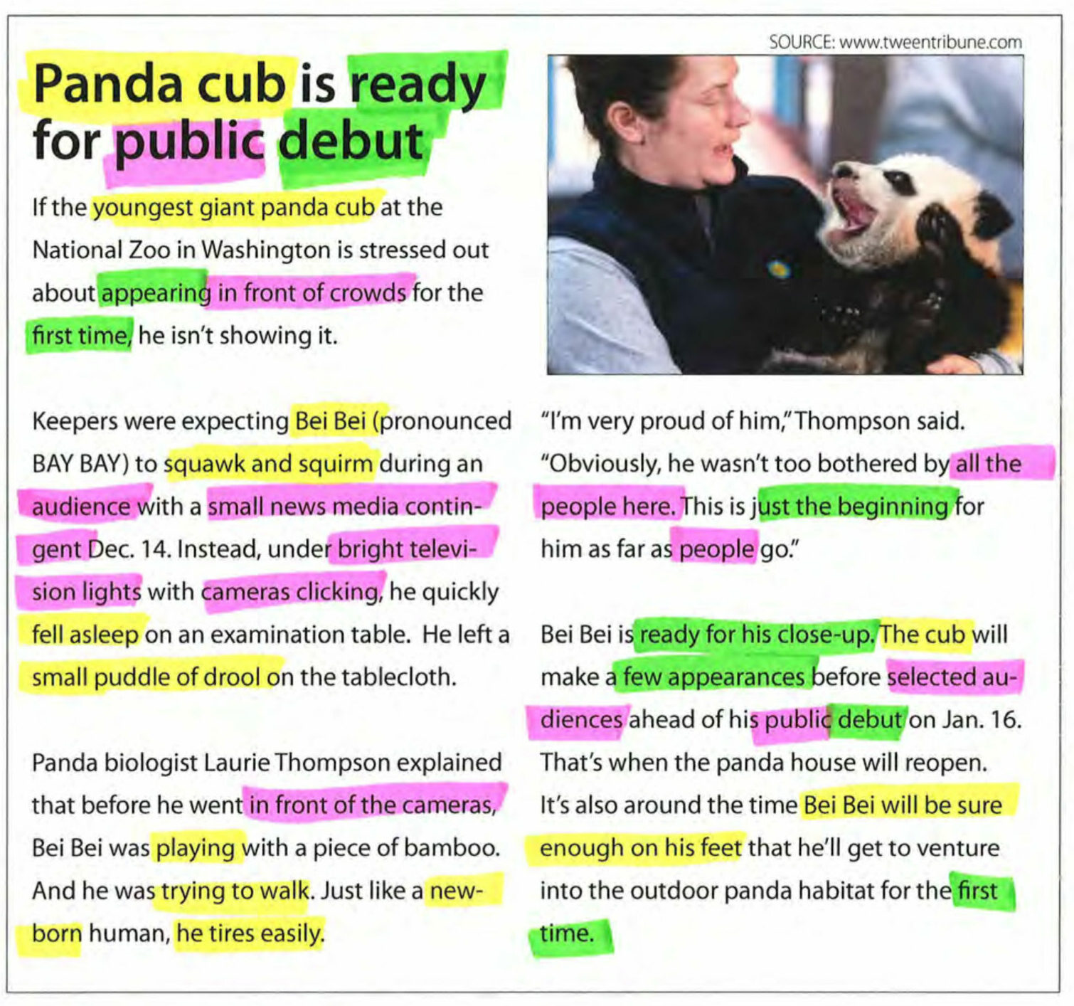 Panda Cub Article with highlights to point to main idea