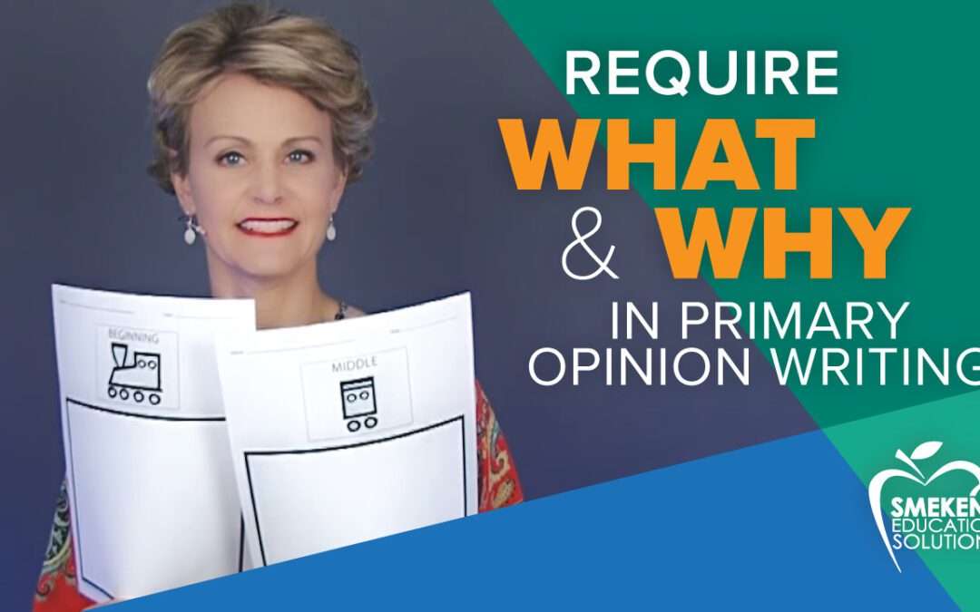 Require WHAT & WHY in primary opinion writing