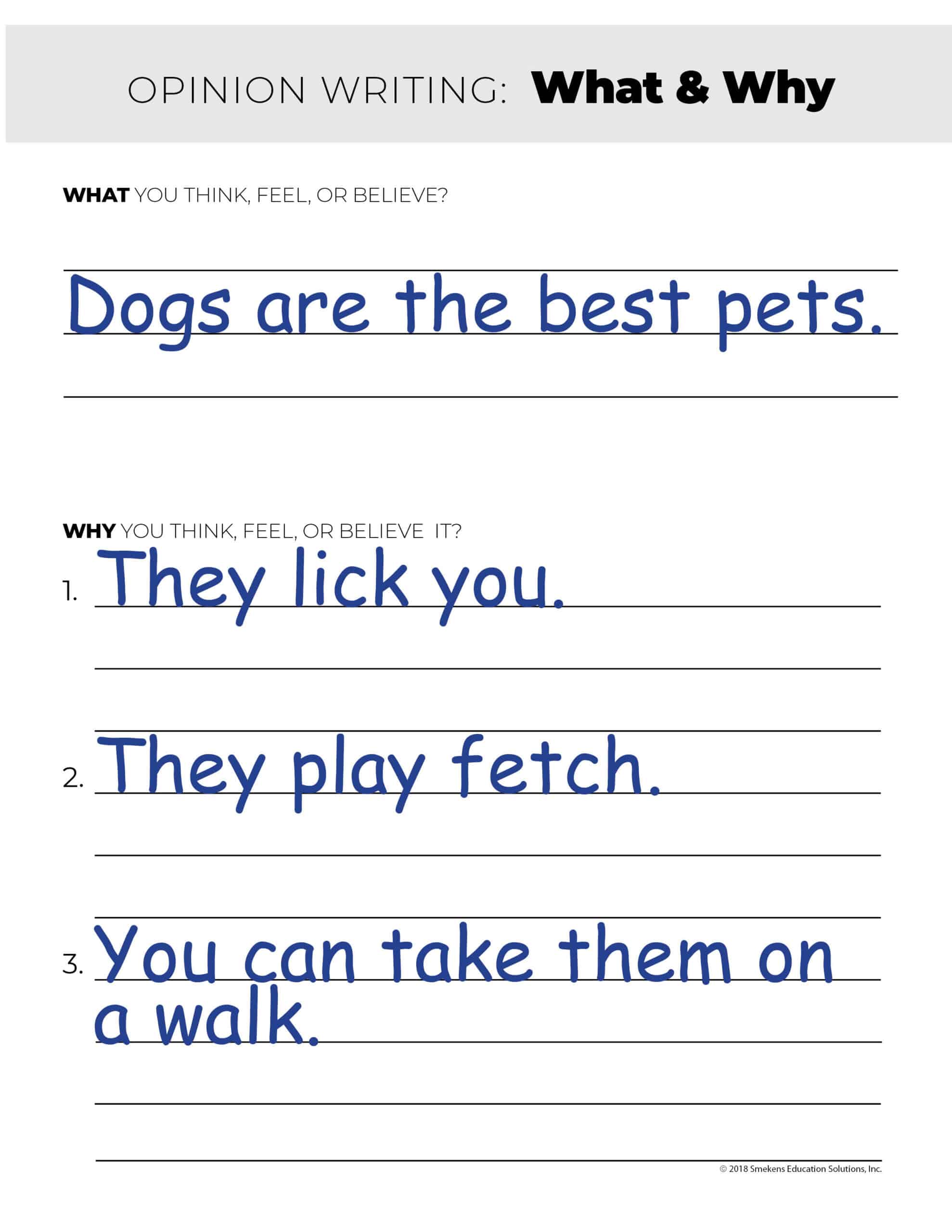 What & Why Example: Dogs are the best pets