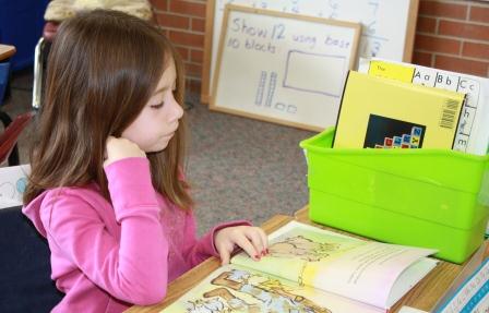 Classroom Library - Book Boxes - Independent Reading Classroom Library - Book Boxes - Independent Reading