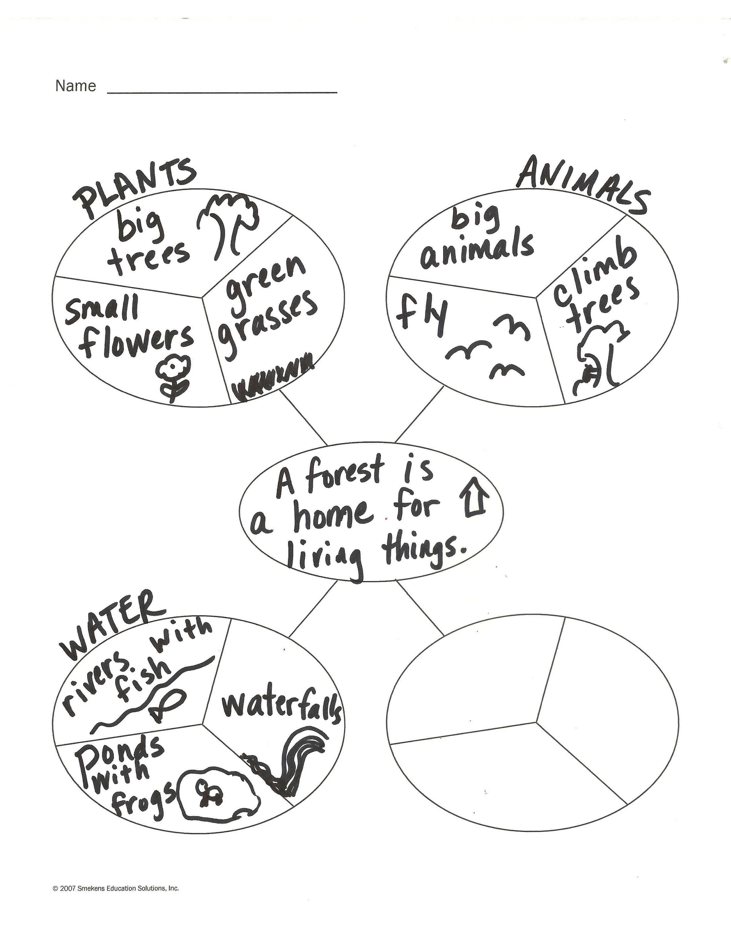 Dissected Web: The Living Rainforest Dissected Web: The Living Rainforest