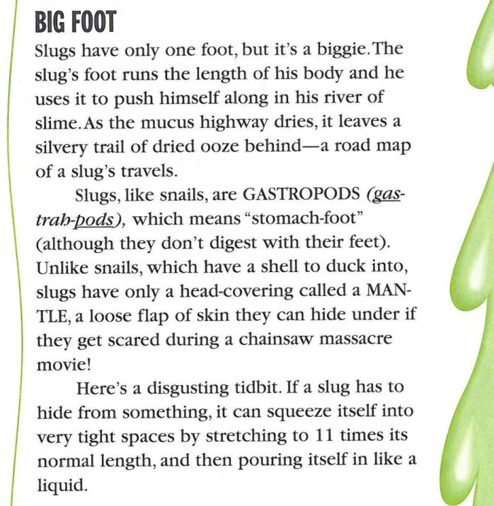 Mentor Text Example of Different Context Clues